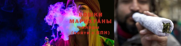 прущие грибы Переславль-Залесский
