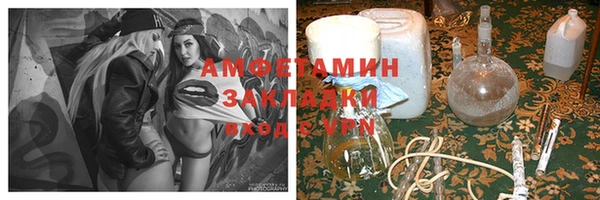 прущие грибы Переславль-Залесский