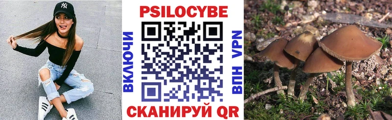Галлюциногенные грибы Cubensis Медынь